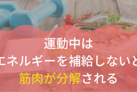 【アスリート注意】エネルギー補給せずに試合や１日練習をすると筋肉が分解される！